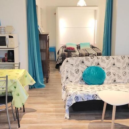 Grand Studio Cahors Centre Rdc Proche Gare Pont Valentre Apartment Ngoại thất bức ảnh