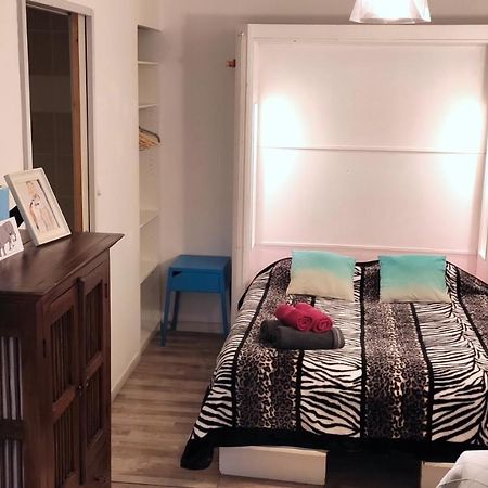 Grand Studio Cahors Centre Rdc Proche Gare Pont Valentre Apartment Ngoại thất bức ảnh
