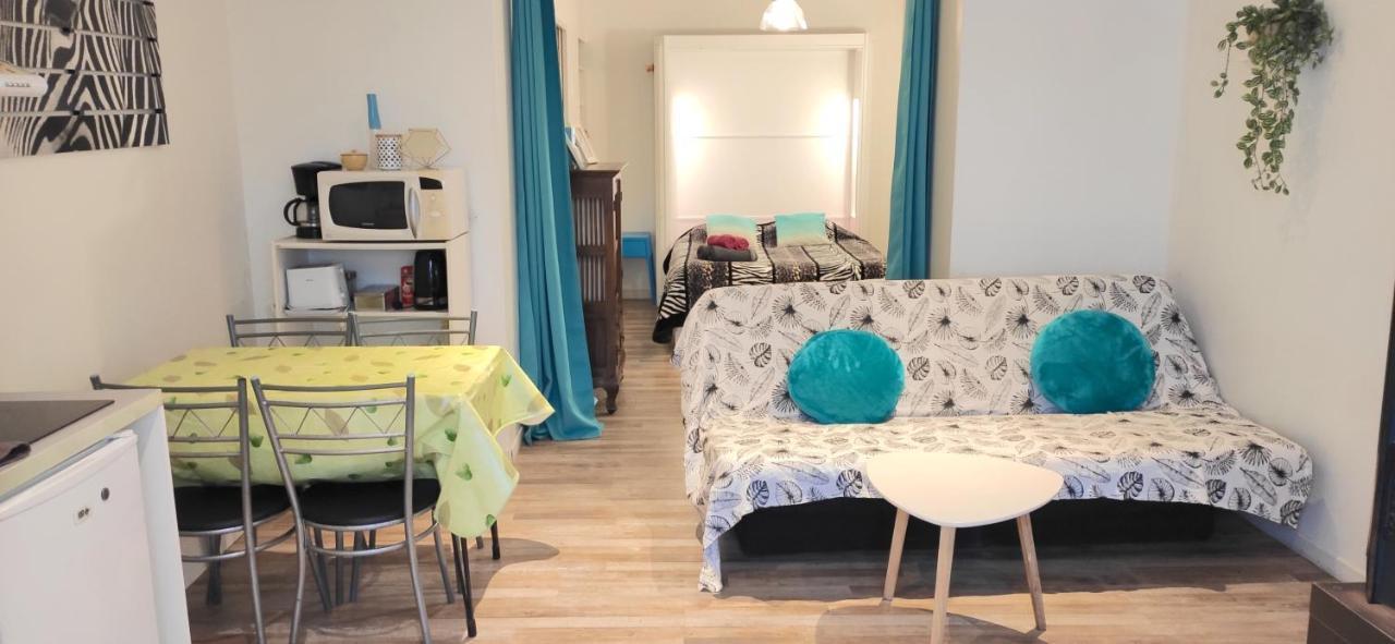 Grand Studio Cahors Centre Rdc Proche Gare Pont Valentre Apartment Ngoại thất bức ảnh