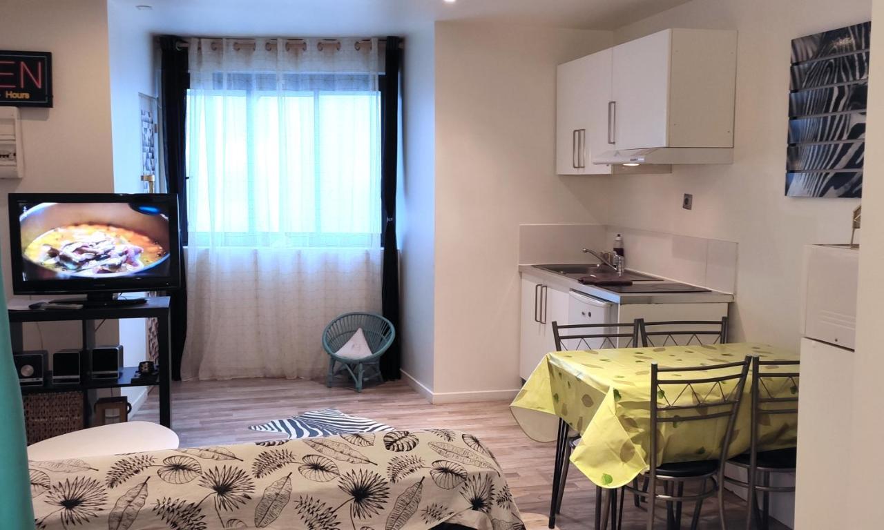 Grand Studio Cahors Centre Rdc Proche Gare Pont Valentre Apartment Ngoại thất bức ảnh